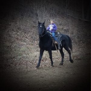 Meet your Posher, William